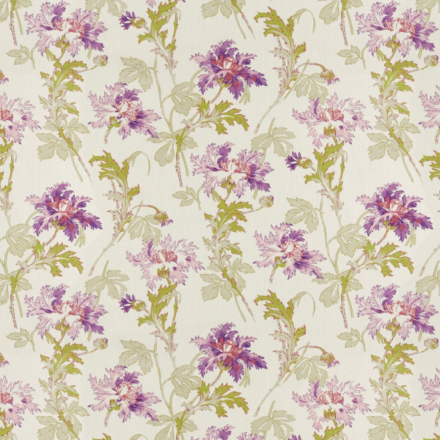 Ella May Cotton Sample